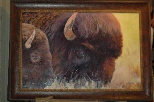 Yellowstone Buffalo